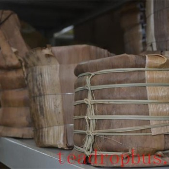 Puer Tea: How to Store Tea at Home