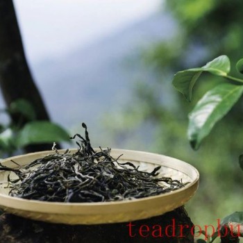 Puer Tea Needs to Be Tasted Slowly