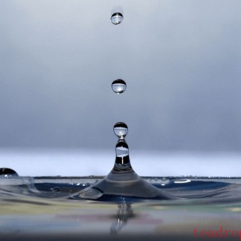 The Secrets of Water in the "Classic of Tea": Selecting the Best Water Source and Its Impact