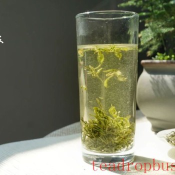 There-s an Art to Drinking Tea in the Morning