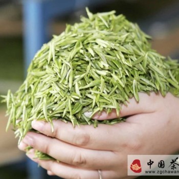 Identifying Green Tea: Essential Communication Terminology