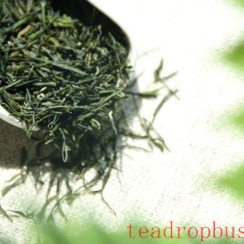 Green Tea is Best Enjoyed Fresh – Instead of Worrying About the Expiry Date, Learn How to Store It Properly!