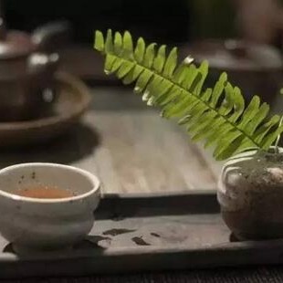 Drinking Tea Keeps You the Same, Not Drinking Tea Makes You Age