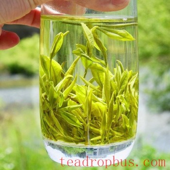 Xiashan Stack Green Tea