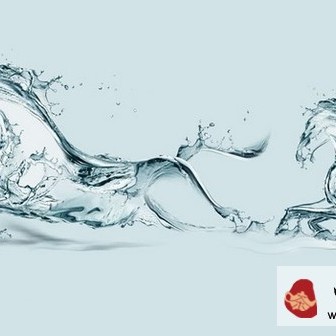 Making Tea | Discussing the Choice of Water