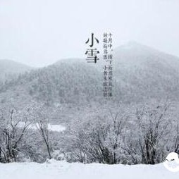Don‘t Forget a Cup of Tea in the Cold Winter! Minor Snow Has Arrived — Keep Warm During the Snowy Season