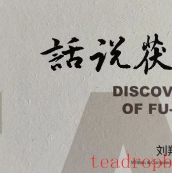 Pu-er Tea Health Benefits Interpretation (Part 9): Why Drinking Pu-er Tea Can Nourish the Stomach