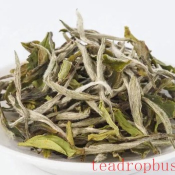Fuding White Tea Knowledge Compilation: Loose Leaf or Cake Tea, Which to Choose?