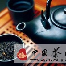 Identifying Dark Tea: Essential Tasting Terminology