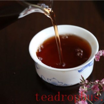 Brewing Methods for Aged Pu-er Tea