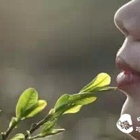 The Eighteen Levels and Layers of Tea Drinking