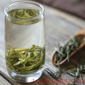 Brewing Green Tea: How Much Green Tea Should You Drink Each Day