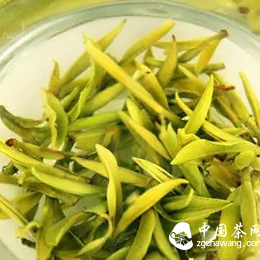 The Finest Yellow Tea: Characteristics of Junshan Yellow Tea