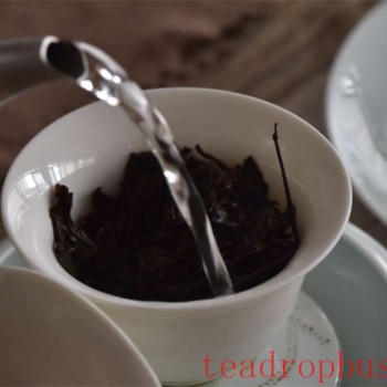 Why can tea be boiled when it-s not recommended to steep it for too long?