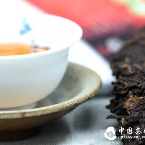 The Raw Material Revolution of Ripe Pu-erh Tea