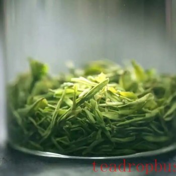 These Five Types of People Should Drink More Tea, Especially Green Tea