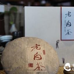 Encountering an Aged White Tea