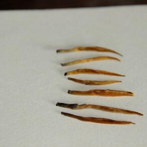 How to Understand the Quality of a Black Tea?