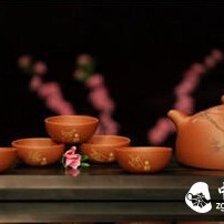 Come and see what tea suits you?