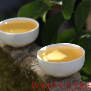What are the Benefits and Drawbacks of Drinking Pu-er Tea