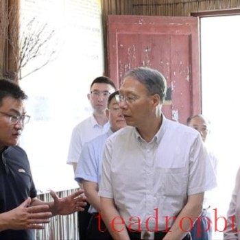 Yin Hao Visits Liubao Town, Cangwu County to Investigate the Liubao Tea Science Popularization Education Base