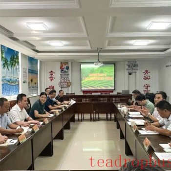 Xintangbian Town People-s Livelihood Deliberative Hall Holds a Special Consultation Meeting on the "Thousand-Mu Ecological Tea Garden Construction Project"