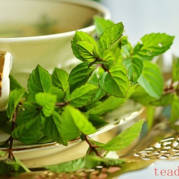 Mint-Infused Green Tea: Refreshing, Healthy, and Natural