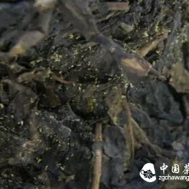 Why is there so much tea stem in dark tea?