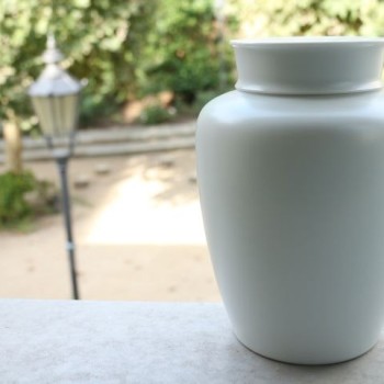The nannuoshan tea vases (for the Berlin tea house)