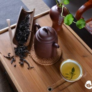 Worth a Look: Why is it Said that High Mountains, Rain, and Mist Produce Good Tea?