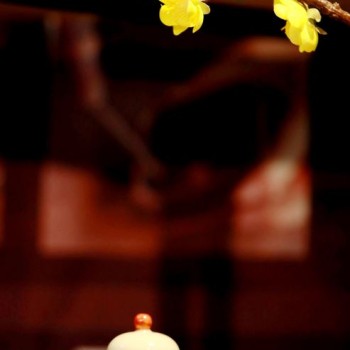 Frost-s Descent: As Autumn’s Gloom Brings Frost, Warm Up with Tea and Welcome Winter!