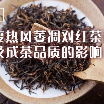 Is the withering efficiency of traditional black tea too low? What temperature is suitable for hot air withering?