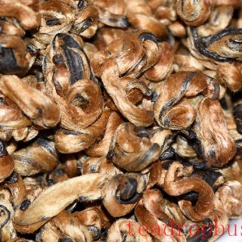 Differences Between Dian Hong Tea and Pu-er Tea