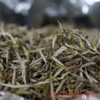 The Correct Storage Method for White Tea, Precautions for Storing White Tea