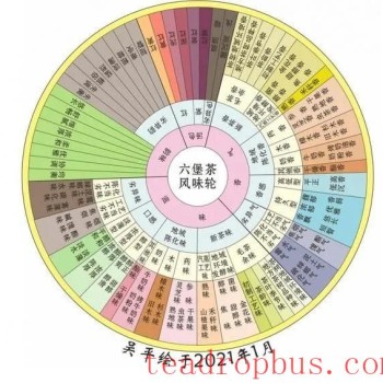 How is the Liubao Tea Flavor Wheel Created?