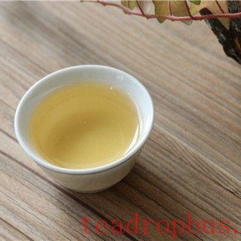 Tea Water May Counteract the Efficacy of Medications