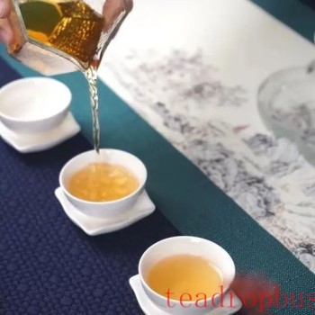 Exploring Various Brewing Methods for White Tea
