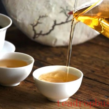 Two Keywords to Help You Select White Tea of Different Years!