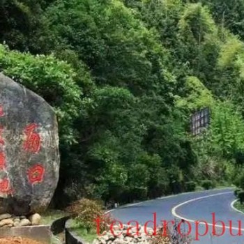 Intangible Cultural Heritage of Humanity: Traditional Chinese Tea Processing Skills – Black Tea Chapter ① – Qimen Black Tea