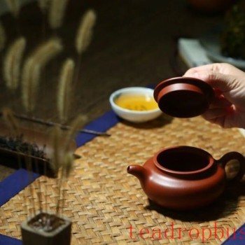 6 Bad Habits in Caring for Your Purple Clay Pot, the First One Many Fall Victim to!