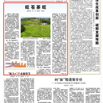 The Front Page of "China County Economy Newspaper" Focuses on the Tea Industry in Wangcang County