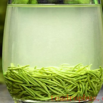Cold Brew or Hot Brew for Green Tea?