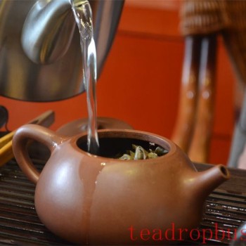 Why Did Mold Grow in Your Purple Clay Teapot?