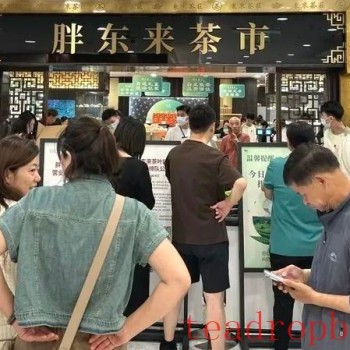Can Hubei Emulate the Success of Pangdonglai-s Tea Market?