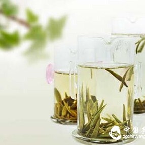 What is Aged White Tea? The Efficacy and Functions of Aged White Tea