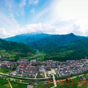 Wealth and Prosperity Through Tea: The Luohe Town Story &amp;#8211; Turning the Chain into Gold with Thriving Industries