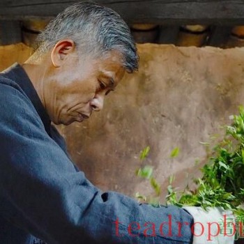 Puer Tea (Tribute Tea) Manufacturing Skills