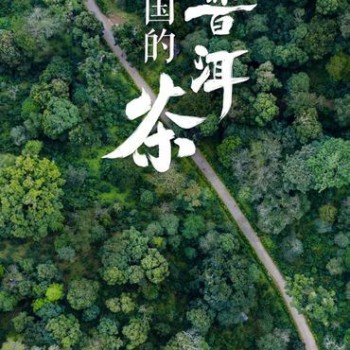 Why Jingmai Mountain?—The Journey to World Heritage Status for the Ancient Tea Forest Cultural Landscape of Pu-er Jingmai Mountain
