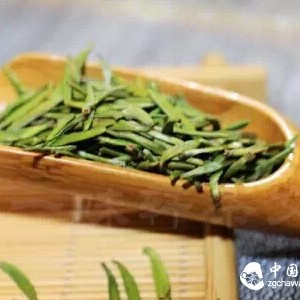 How is green tea made?