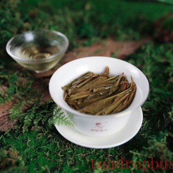 How to Use a Gaiwan for Tea Brewing Without Shaking?